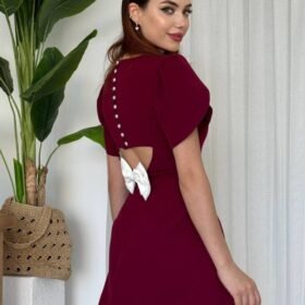 Alka İncili Fiyonk Detay Elbise