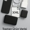 1 YILLIK ONLİNE ÇIKTI HİZMETİ/XML-(5796)