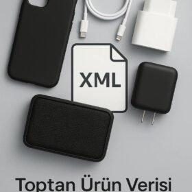 1 YILLIK ONLİNE ÇIKTI HİZMETİ/XML-(5796)