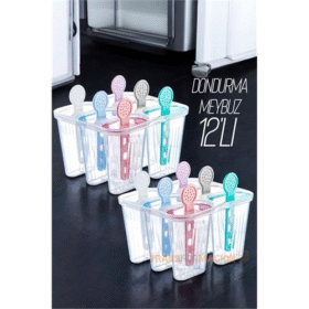 HSNET 12 li Dondurma Kalıbı Meybuz Kalıbı