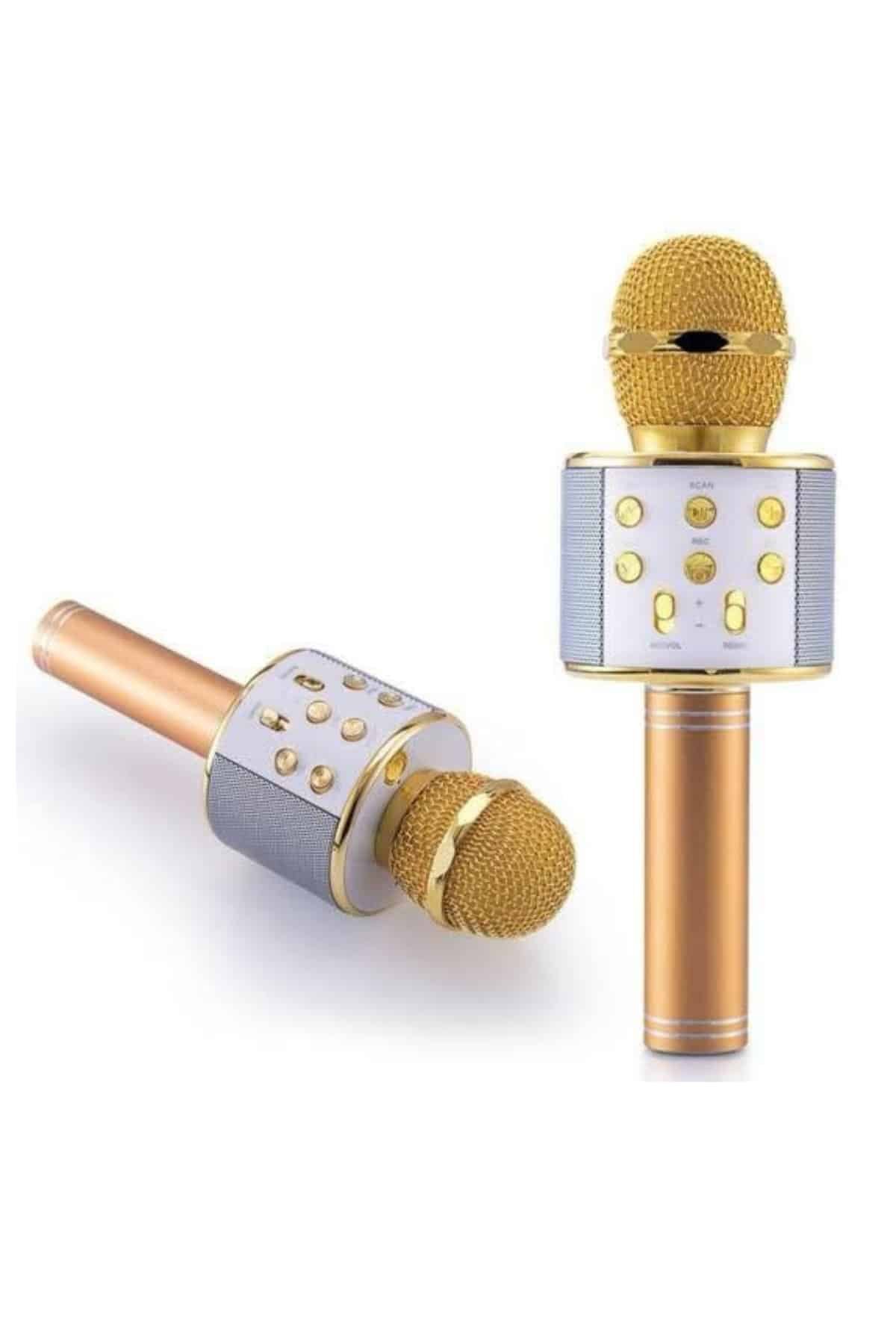 Karaoke Mikrofon Dahili Hoparlörlü Sd-usb-aux Girişli Bluetooth Hoparlör - Görsel 2