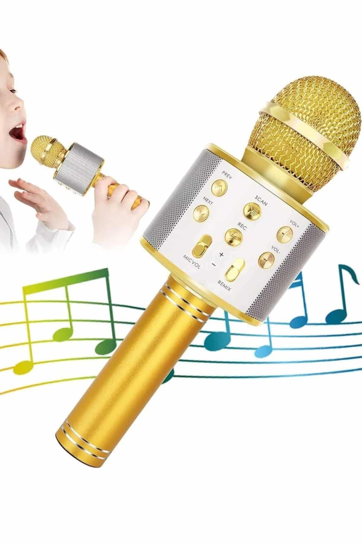 Karaoke Mikrofon Dahili Hoparlörlü Sd-usb-aux Girişli Bluetooth Hoparlör - Görsel 4