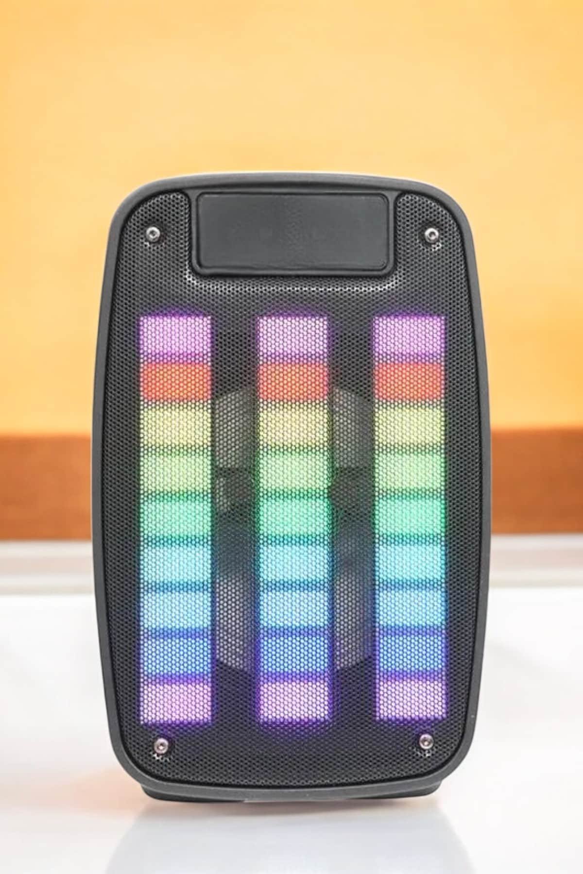 Kablosuz Bluetooth Hoparlör Taşınabilir 6.5 inç LED Işık Kareoke - Görsel 5