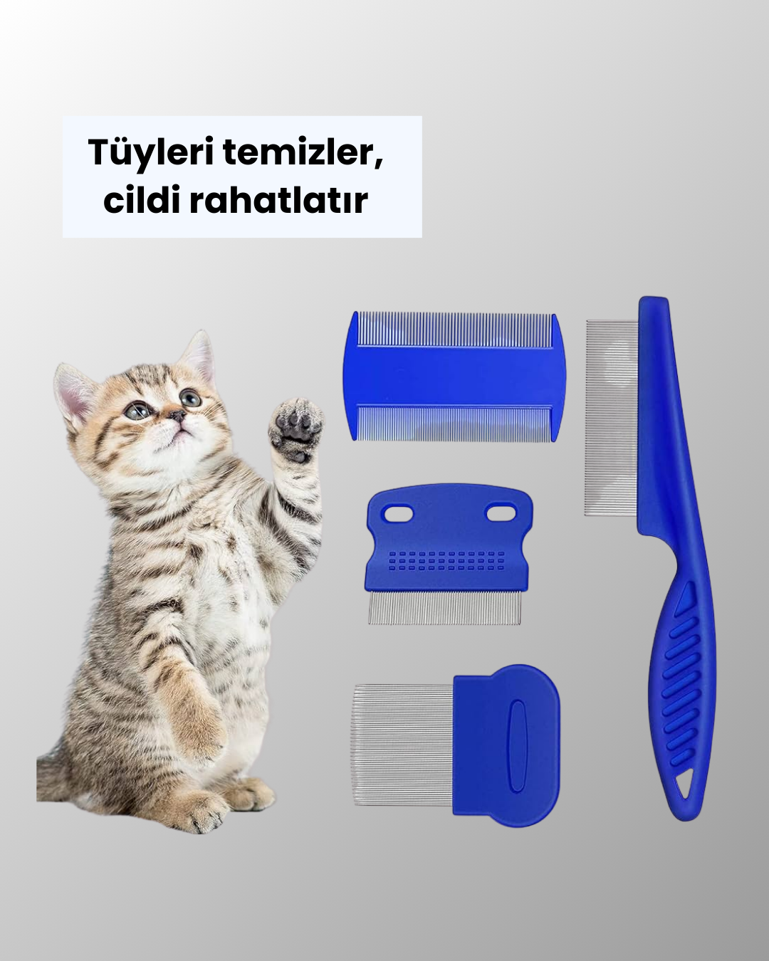 Kedi Köpek ve Küçük Hayvanlar İçin 4 Parça Ergonomik Tarak Takımı - Görsel 4
