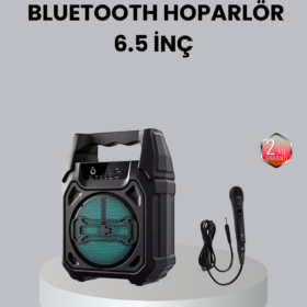 10W Gücünde Kablosuz Hoparlör – Şarjlı FM Radyolu ve Taşınabilir