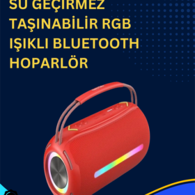 USB/SD/AUX Girişli Hoparlör – 10 W × 2 Çift Sürücü