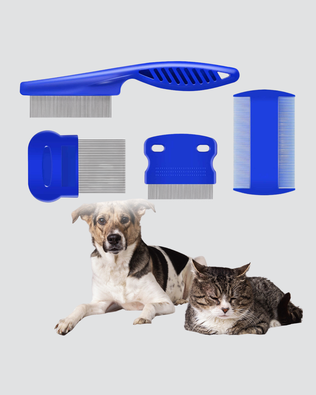 4’lü Kedi Köpek Tüy Temizleme Seti – Paslanmaz ÇelikErgonomik ve Uzun Ömürlü - Görsel 3