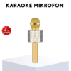 Karaoke Mikrofonu Bluetooth USB AUX Girişli Yankı Efektli
