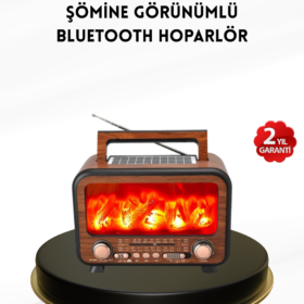 Alev Işığı Efektli Solar Bluetooth Hoparlör Radyo Destekli Taşınabilir Model