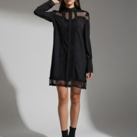 Kadın Uzun Kollu Yarım Balıkçı Yaka Transparan Detaylı Mini Elbise